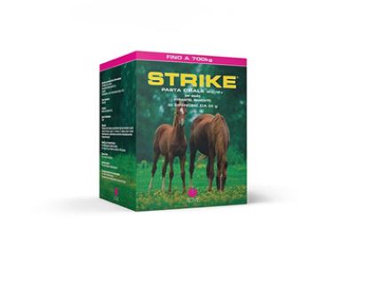 STRIKE PASTA ORALE CF. (20 SIRINGHE da 35 GR)