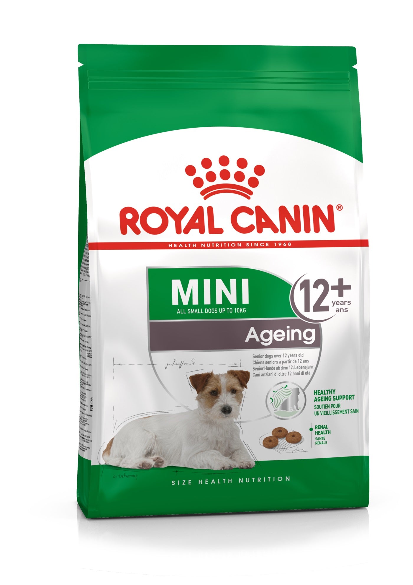 ROYAL CANIN CANE MINI AGEING 12+ 800 GR