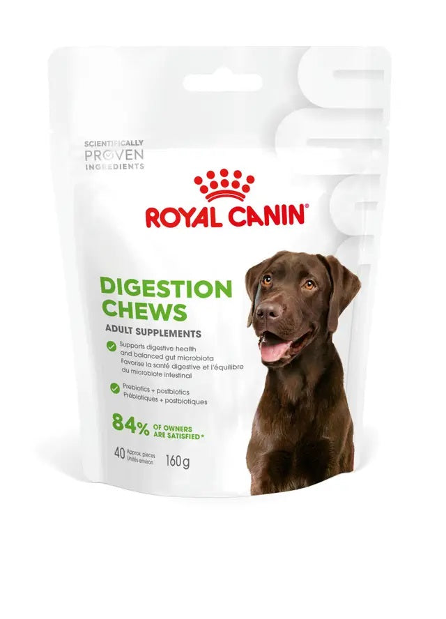 ROYAL CANIN CANE SUPPLEMENTS ADULTO DIGESTION 160 GR