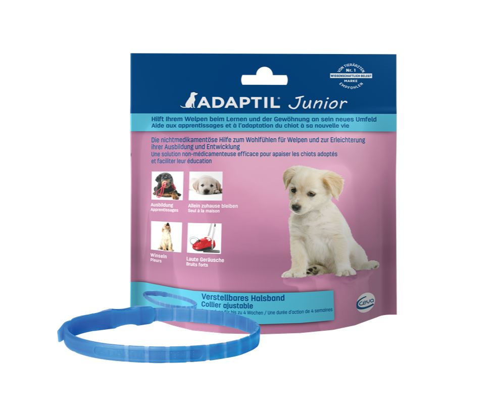 ADAPTIL JUNIOR COLLARE