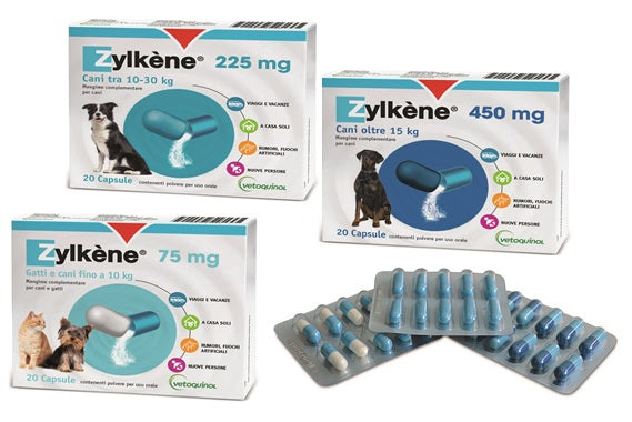 ZYLKENE 225mg 20 CPR