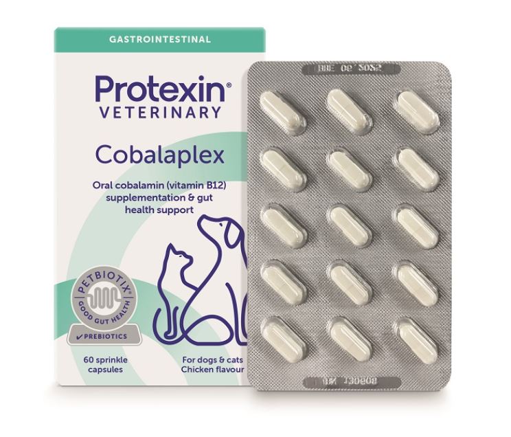 COBALAPLEX 60 CAPSULE