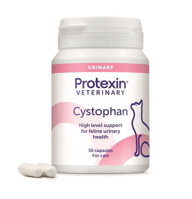 CYSTOPHAN GATTO 30 CAPSULE