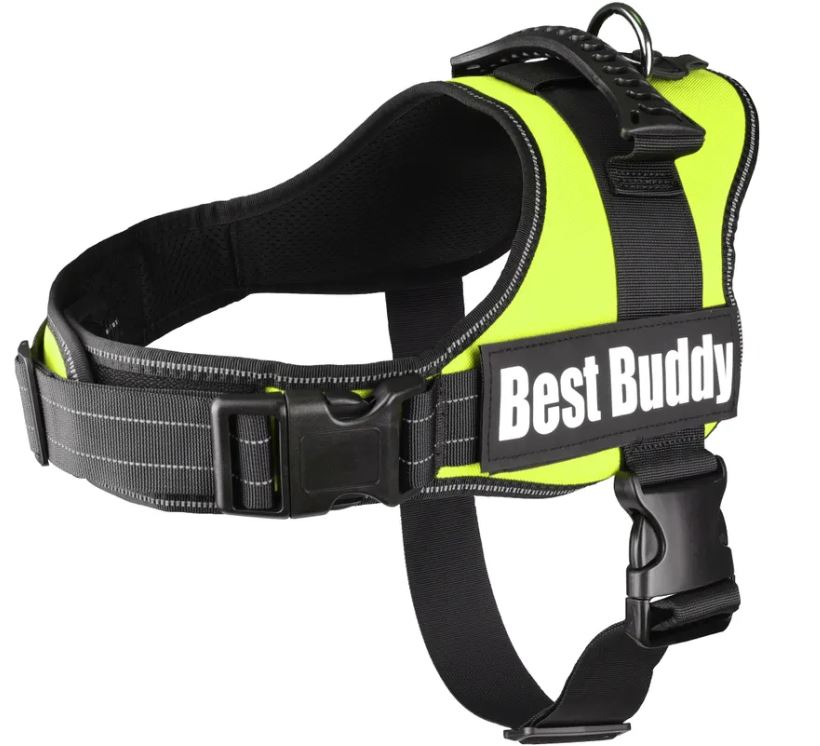 FLAMINGO CANE PETTORINA IN NYLON CON IMBOTTITURA "BEST BUDDY PLUTO" 80-100 CM x 50 MM NEON VERDE