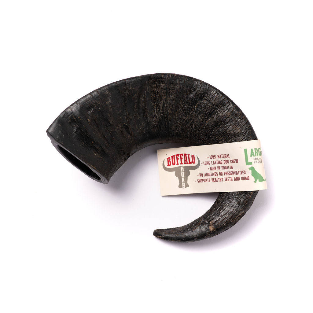 BUFFALO HORN CORNO DI BUFALO TG. LARGE