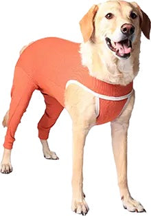 BODYCOBRE BODY ZAMPE POSTERIORI UNISEX CANE E GATTO "TG. 4" 6-7,5 KG