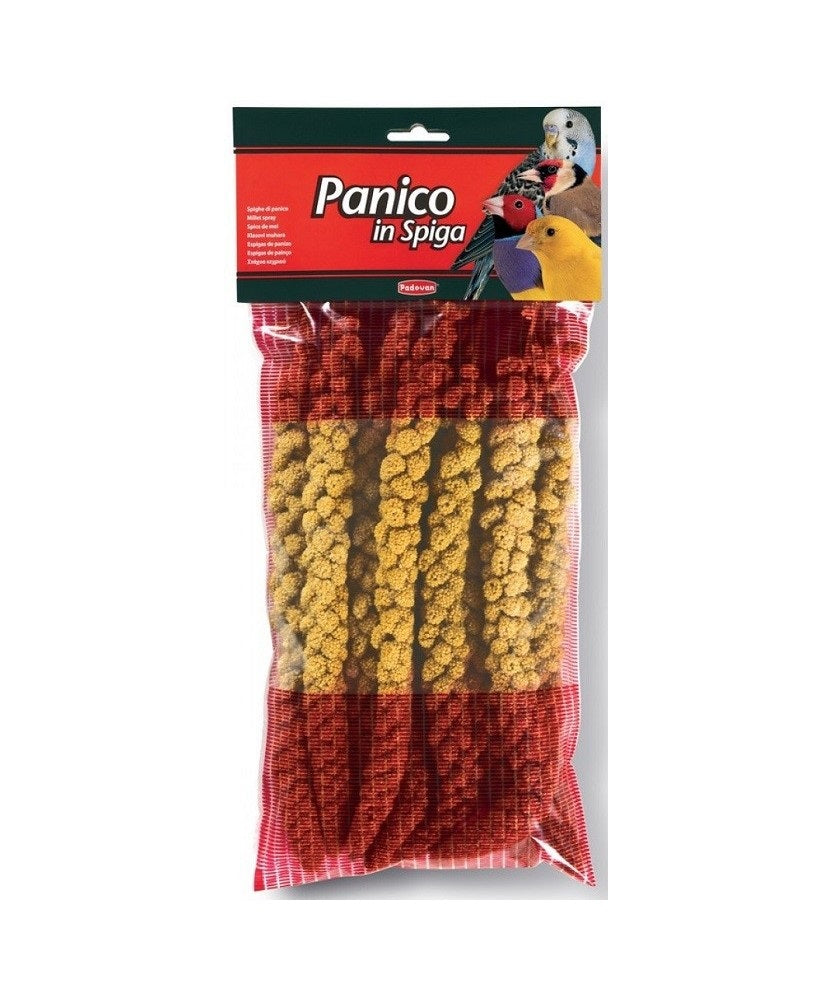 PADOVAN PANICO GIALLO IN SPIGA 250 GR