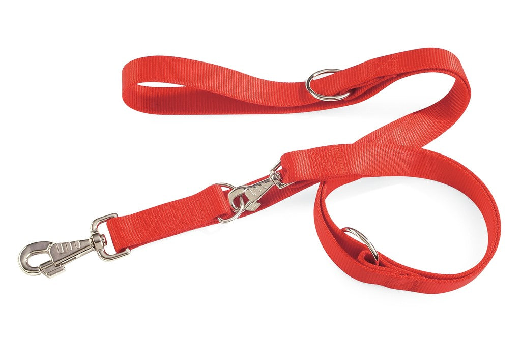 CAMON CANE GUINZAGLIO ADDESTRAMENTO IN NYLON 18 MM x 2 MT BLU