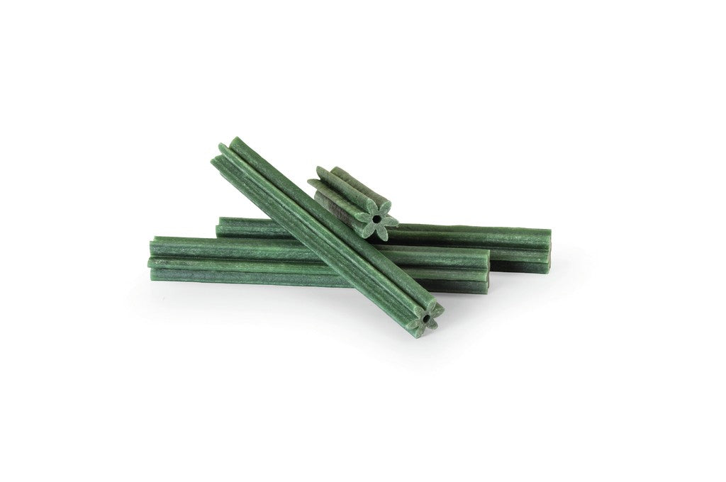 CAMON CANE SNACK NATURAL 100% VEGETAL TG. "L" 1 PZ