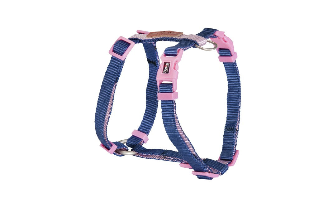 CAMON CANE PETTORINA "DOUBLE PREMIUM" 15 MM x 35/60 CM ARANCIONE/BLU