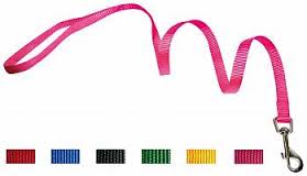 GUINZAGLIO NYLON 19x1200 BLU
