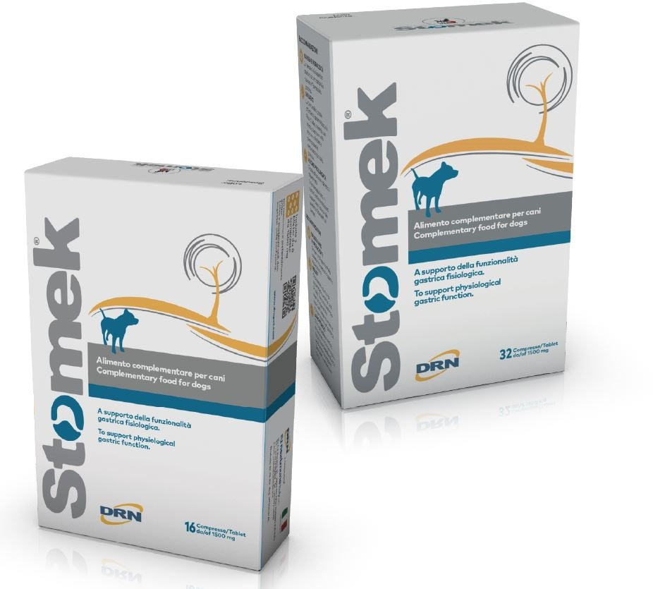 STOMEK CANE 32 CPR