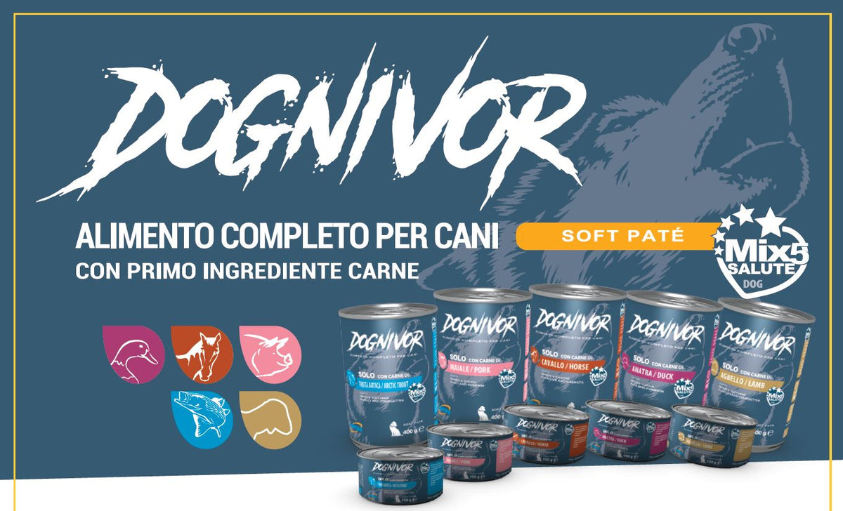 DOGNIVOR ANATRA, RISO & ZUCCA 400 GR