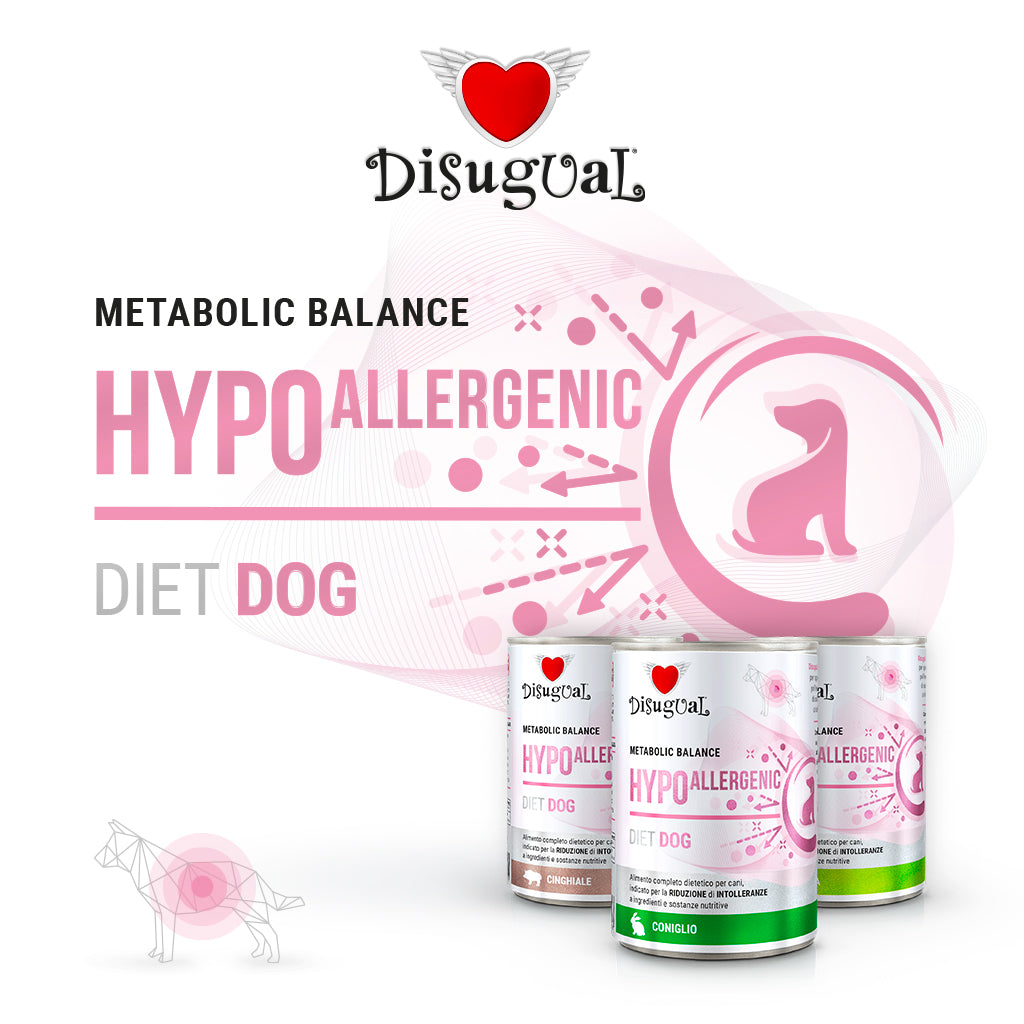 DISUGUAL CANE DIET HYPOALLERGENIC CINGHIALE 400 GR