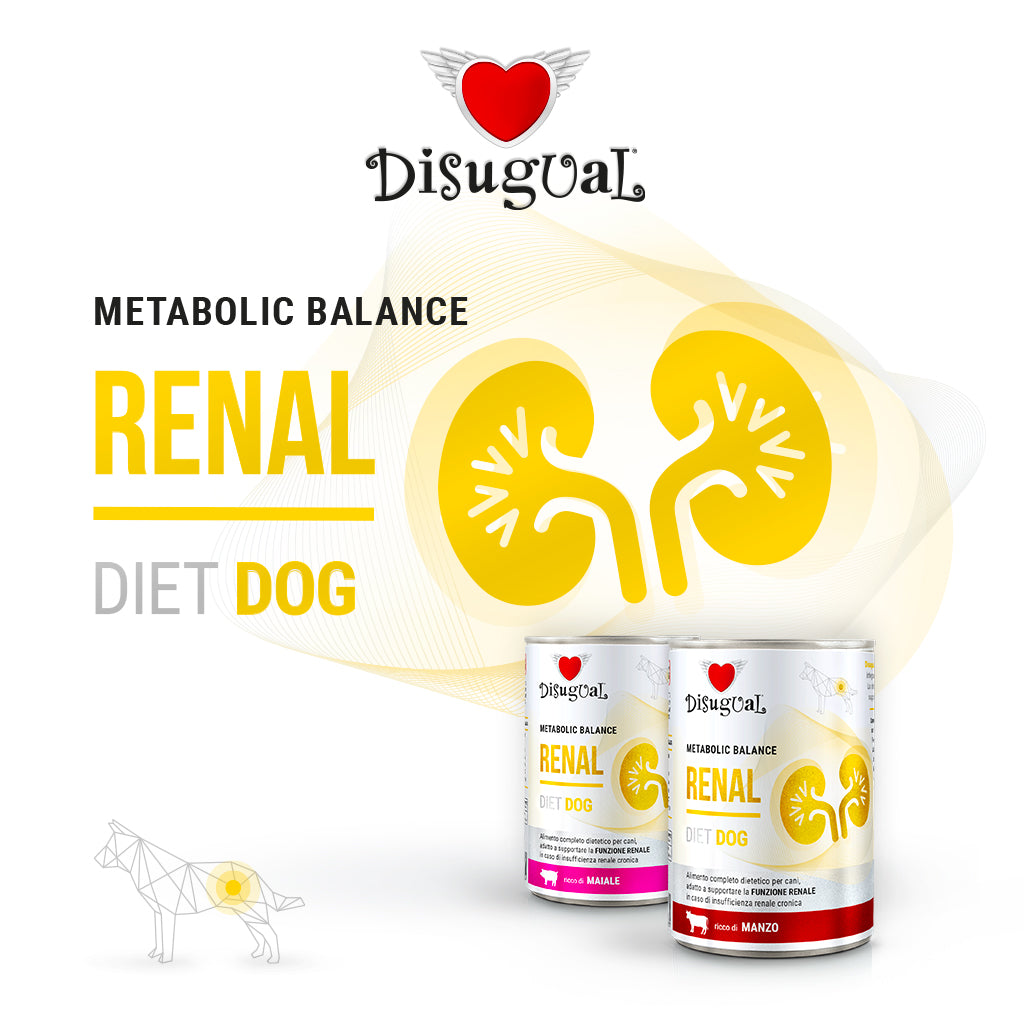 DISUGUAL CANE DIET RENAL MAIALE 400 GR
