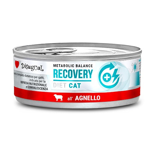 Disugual Gatto Diet Recovery Agnello 85 g