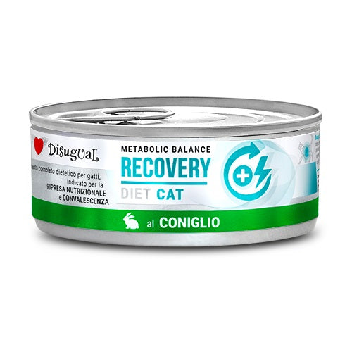 Disugual Gatto Diet Recovery Coniglio 85 g