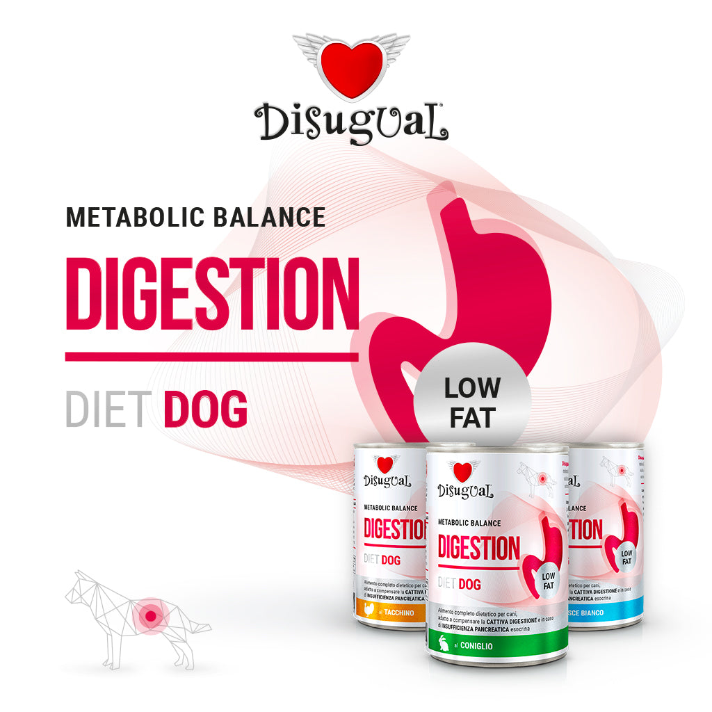 DISUGUAL CANE DIET DIGESTION LOW FAT SOGLIOLA 400 GR