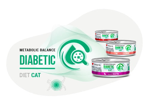 DISUGUAL GATTO DIET DIABETIC SOGLIOLA 85 GR