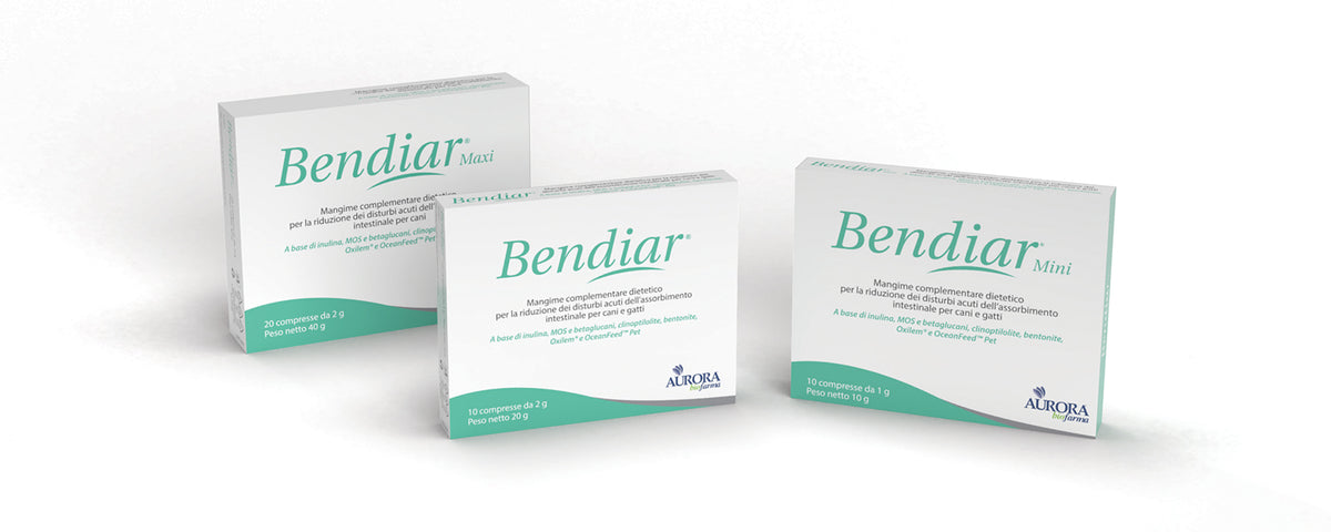 BENDIAR MAXI 20 CPR