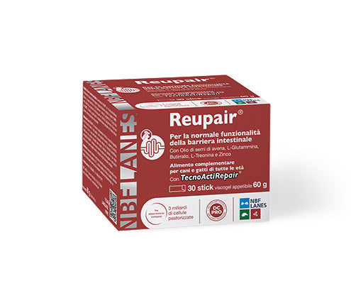 REUPAIR cane e gatto 30 STICK