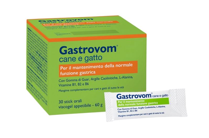 GASTROVOM CF. (30 STICK)