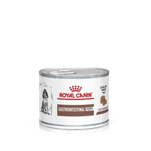 ROYAL CANIN CANE GASTROINTESTINAL PUPPY 195 GR