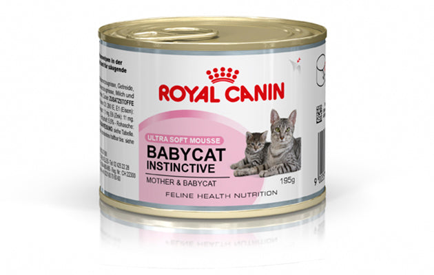 ROYAL CANIN GATTO MOTHER&BABYCAT 195 GR