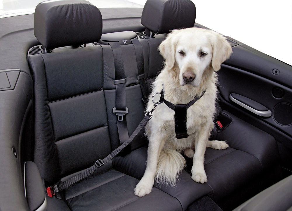 KERBL CANE PETTORINA REGOLABILE PER AUTO TG. "XL" NERO