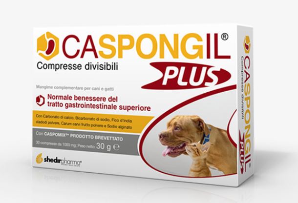 CASPONGIL PLUS 30 CPR