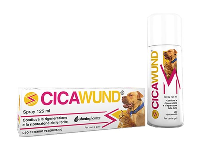 CICAWUND GEL 30 ML