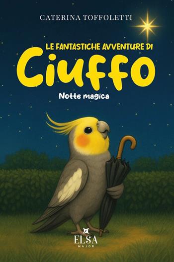 LIBRO "LE FANTASTICHE AVVENTURE DI CIUFFO - NOTTE MAGICA"