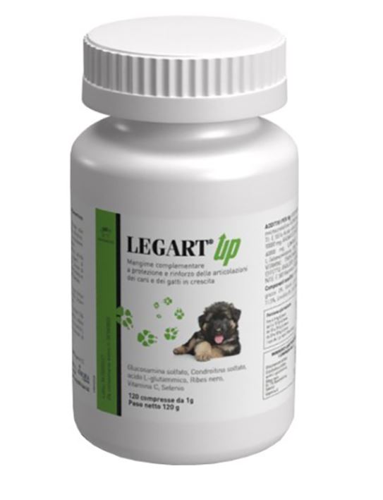 LEGART UP 120 CPR
