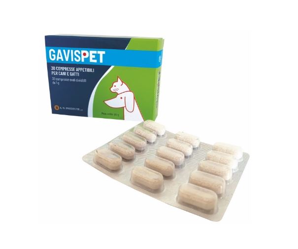 AVICENNA NATURAL INSTITUTE GAVISPET 30 CPR