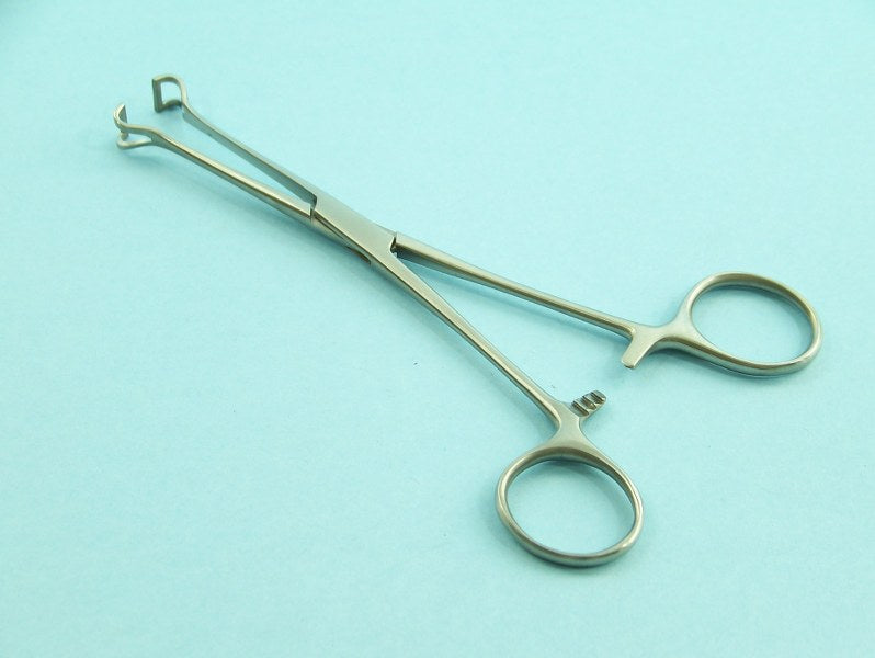 PINZA BABCOCK INTEST. 20 cm