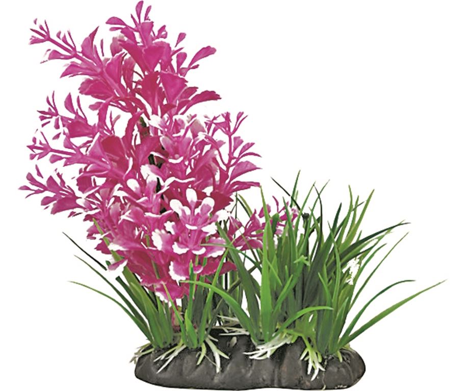 MANTOVANI PESCI DECORAZIONE PIANTA DEKOR COMBI TG. "M" 21 CM