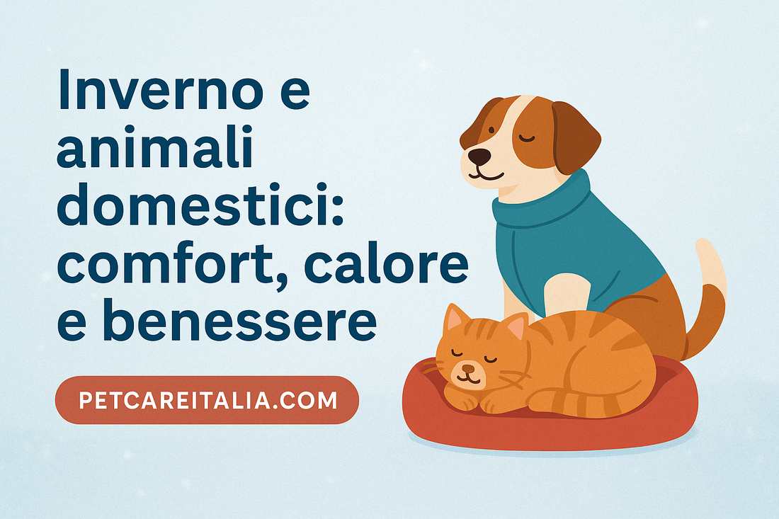 🐾 Cura degli animali in inverno: come proteggere cani e gatti dal freddo ❄️