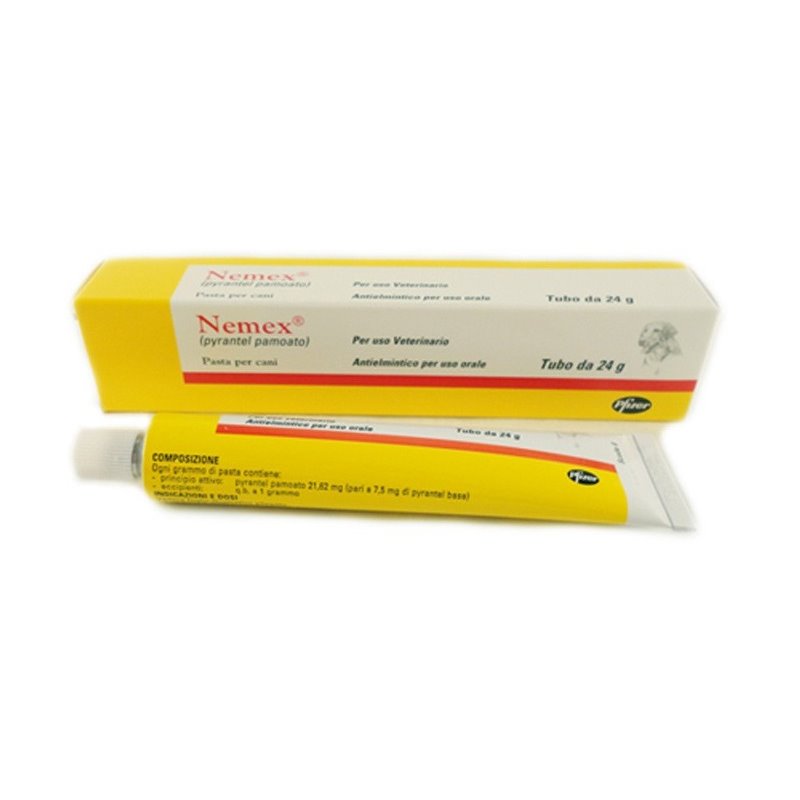 NEMEX Pasta cani tubo 24 gr