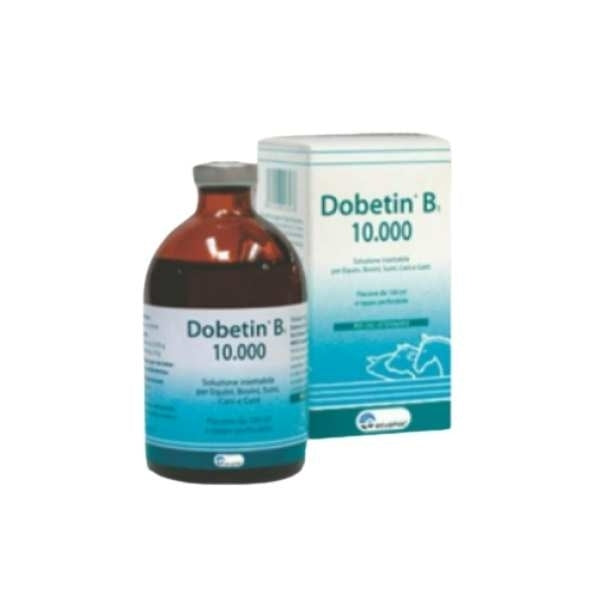 DOBETIN B1 10.000 100 ml