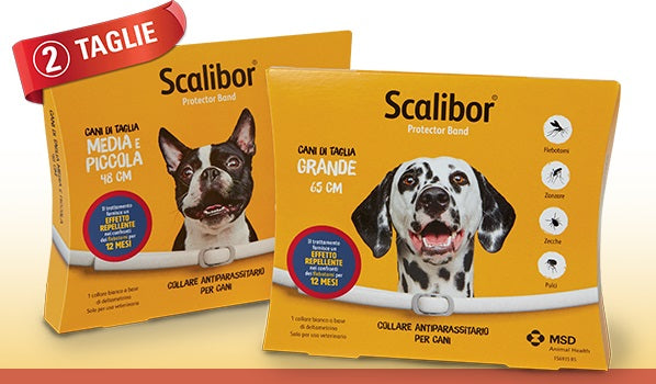 SCALIBOR PROTECTOR BAND SMALL 48 CM