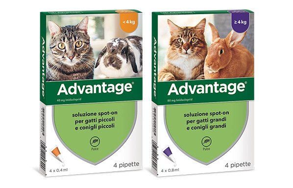 ADVANTAGE SPOT ON 40 GATTO/CONIGLIO DI PESO <4Kg