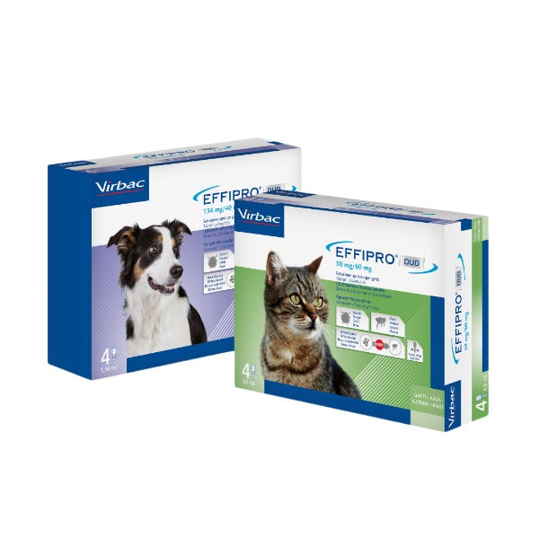 EFFIPRO DUO CANI XL 40-60 KG 4 PIPETTE
