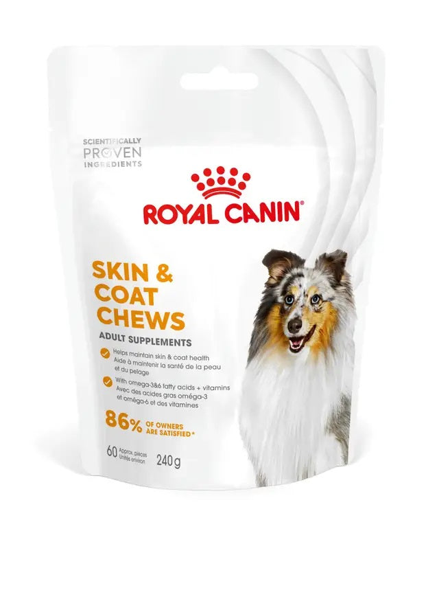 ROYAL CANIN CANE SUPPLEMENTS ADULTO SKIN & COAT 240 GR