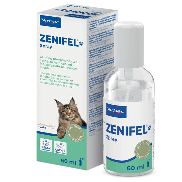 ZENIFEL SPRAY 60 ML