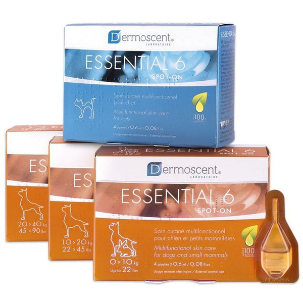 DERMOSCENT CANE ESSENTIAL 6 SPOT-ON <10 KG 0,6 ML CF. (4 PIPETTE)
