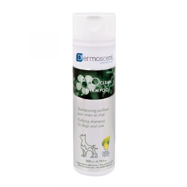 DERMOSCENT PYOCLEAN SHAMPOO 200 ML
