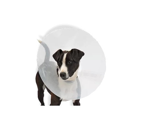 PROFICOLLAR CANE COLLARE ELISABETTIANO TRASPARENTE 30 CM