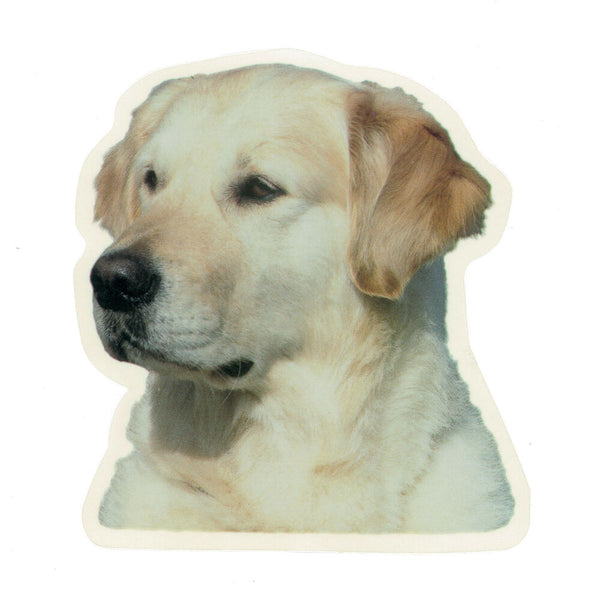 CAMON CANE ADESIVO GOLDEN RETRIVER CF. (2 PZ)