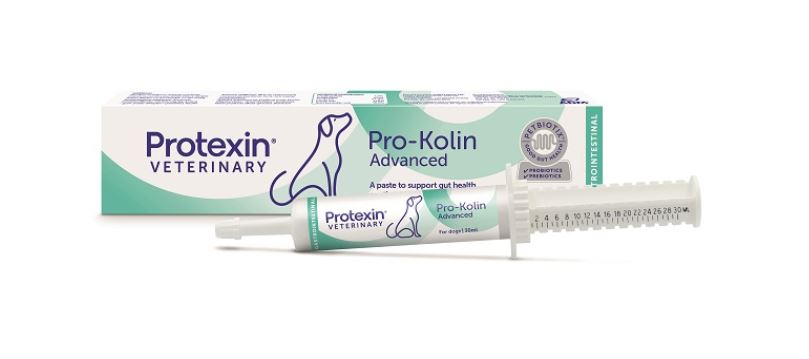 PROKOLIN ADVANCED CANE PASTA 30 ML