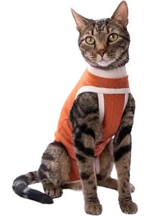 BODYCOBRE BODY TRADIZIONALE UNISEX CANE E GATTO "TG. 9" 21-25 KG